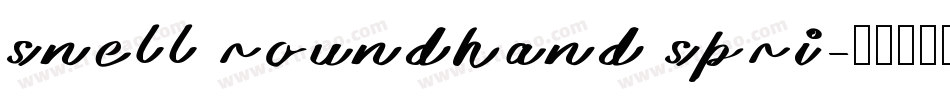 snell roundhand spri字体转换